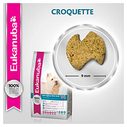 Croquettes pour chien