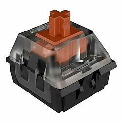 Avis Pièces de rechange Newskill Switches Gateron Espagnol Qwerty