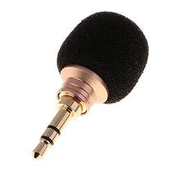 Microphone de chant