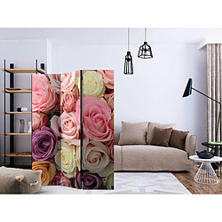 Decoshop26 Paravent 3 volets panneaux cloison séparateur de pièce pliable recto verso Roses pastel 135x172 cm PAR110657