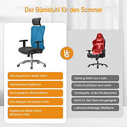 Avis Mendler Chaise de bureau SIHOO Chaise de bureau, ergonomique charge max. 150kg ~ sans repose-pieds, gris