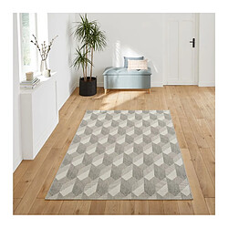 But Tapis 160x230 cm OPTIC Gris