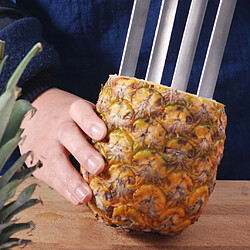 Ananas carottier inoxydable