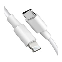 Cable USB C vers Lightning 1 m Blanc Pour Apple iPhone iPad Little Boutik Couleur 