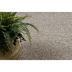 RUGSX Tapis PRIUS 39 beige 150x300 cm pas cher