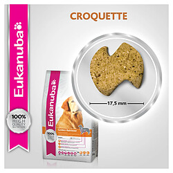 Croquettes pour chien