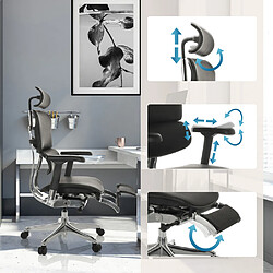 Avis Chaise de bureau / fauteuil de direction ERGOHUMAN PLUS LEGPRO GEN2 cuir avec repose-jambes résille noir hjh OFFICE