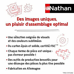 Wagram Nathan - Puzzle 1000 pièces - Les albums d'Astérix - Adultes et enfants dès 12 ans - Puzzle de qualité supérieure - Encastrement parfait - Collection Mes Héros - Aventure - 87825 pas cher