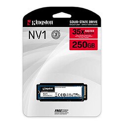 Kingston Technology NV1 M.2 250 Go PCI Express 3.0 NVMe