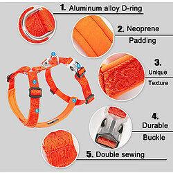 Universal Collier de chien en nylon de créateur et mollusque de reflet de chien de serrure en nylon pour chien de serrure lait de pit | harnais (orange)