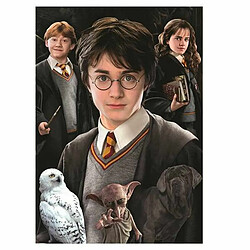 Puzzle Harry Potter 1000 Pièces pas cher