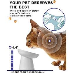 Acheter YYHY Y YHY Bol pour Chat en céramique de 15 cm/120 ML avec Alimentation Lente - Blanc