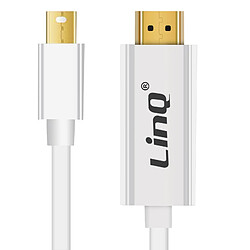 Câble Thunderbolt Linq