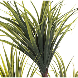 Avis Plante décorative Alexandra House Living Plastique Dracaena 15 x 27 x 121 cm