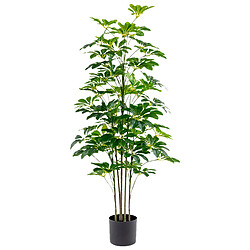 Plante décorative Alexandra House Living Plastique Schefflera 125 cm