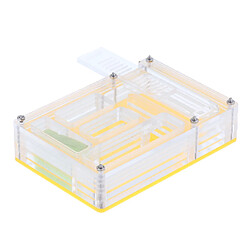 Nid de logement ANT pour insectes Boîte Fourmiliere Ant Farm Circle Medium