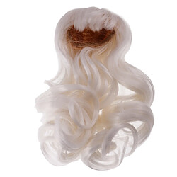 Poupées Perruque De Cheveux Pour 1/6 Bjd Poupées Sd Dollfie DiY Fabrication Des Accessoires Blancs