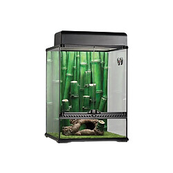 Exoterra EXO TERRA Terrarium équipé Bamboo Forest L - Pour reptiles