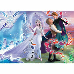 Trefl s?urs, Frozen 2 Disney La Reine des neiges 2, 200 Pièces, pour Les Enfants à partir de 7 Ans Puzzle, 13265, Le Monde Magique des Soeurs, Magische Welt der Schwestern