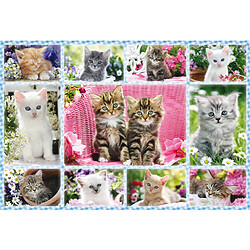 Schmidt Puzzle 100 pièces : Chatons 