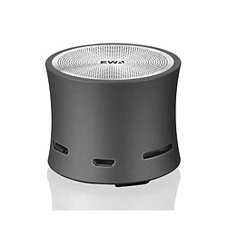 Wewoo Enceinte Bluetooth EWA A104 Haut-parleur Lecteur MP3 portable Métallique Entrée USB multimédia stéréo Gris 