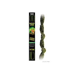 Exo Terra EXO-TERRA Bendable moss vine - Small - Pour reptile ou amphibien