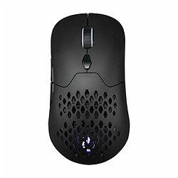 Souris Hiditec GX30 PRO Noir 