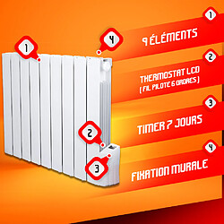 Radiateur à inertie