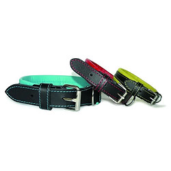 Acheter YAGO Collier en Cuir Noir et Vert Souple et Reglable pour grand chien, taille L 43-52 cm