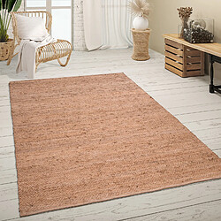 Paco-Home Tapis De Salon Poil Ras Fait Main Sisal Motif Avec Bordure Moderne Beige 