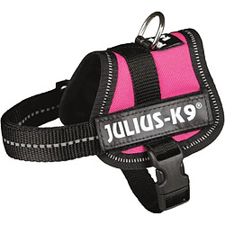 Julius K9 Harnais Power Julius-K9 - Baby 1 - XS : 30-40 cm-18 mm - Fuchsia - Pour chien