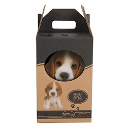 Vivid Arts Chiot Beagle assi en résine 15 cm.