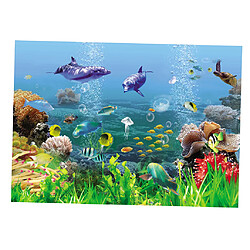 Décoration aquarium