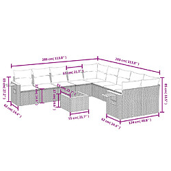 Avis vidaXL Salon de jardin 11 pcs avec coussins beige résine tressée