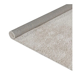 Avis But Tapis 160x230 cm SIENA Blanc