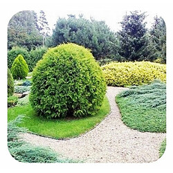 Green-split Bordure de Jardin en plastique 15cm x 6m | Bordure Jardin