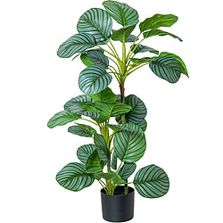 Plante décorative Alexandra House Living Plastique Calathea 90 cm 