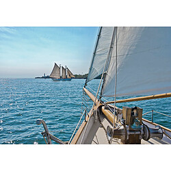 Acheter Komar Sailing Photo murale - 368 x 254 cm