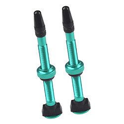 2X Vélo Vélo Alliage D'aluminium 60mm Tubeless Presta Valve Kit Remplacement Vert