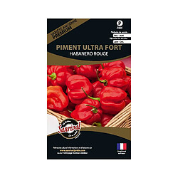 Sanrival Graines potagères premium piment Ultra fort Habanero