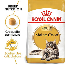 Royal Canin Race Maine Coon Adult