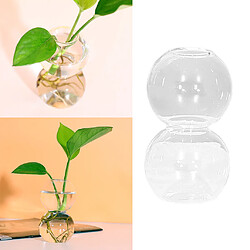 Vase En Tube De Verre Support En Bois Pots De Fleurs Planteur Hydroponique 2 Boules