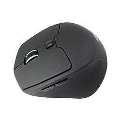 Conceptronic Lorcan Ergo mouse