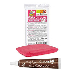 Scrapcooking Stylo chocolat + Pâte à sucre fuschia 100 g 