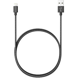 Câble de Charge Lightnin-USB Mâle, Charge Rapide, 1,2 m,Câble D'alimentation IOS, , Noir, Blaupunkt, BLP0213.133