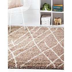 Acheter Hadorn Tapis shaggy 240x240 brun Lachen Fence