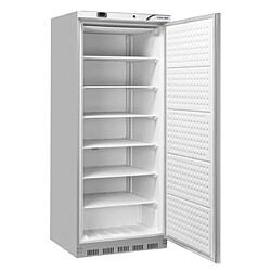 COOLHEAD Armoire Réfrigérée Négative 600 L - Inox - Cool Head 