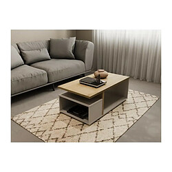 Demeyere Table basse rectangulaire ACCESS - 3 Niches - chêne Hamilton et blanc - 91,8 x 50 x 36 cm