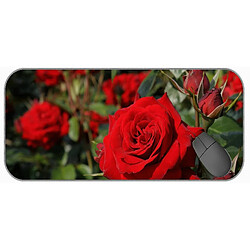 Universal (750x300x3) tapis / coussin de souris de jeu étendu - grand pad de souris à fleurs de rose de la nature rouge avec