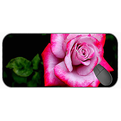 Universal (750x300x3) Pad de souris de jeu étendu grande taille, pavé de souris à fleurs roses macro-rose avec cousée